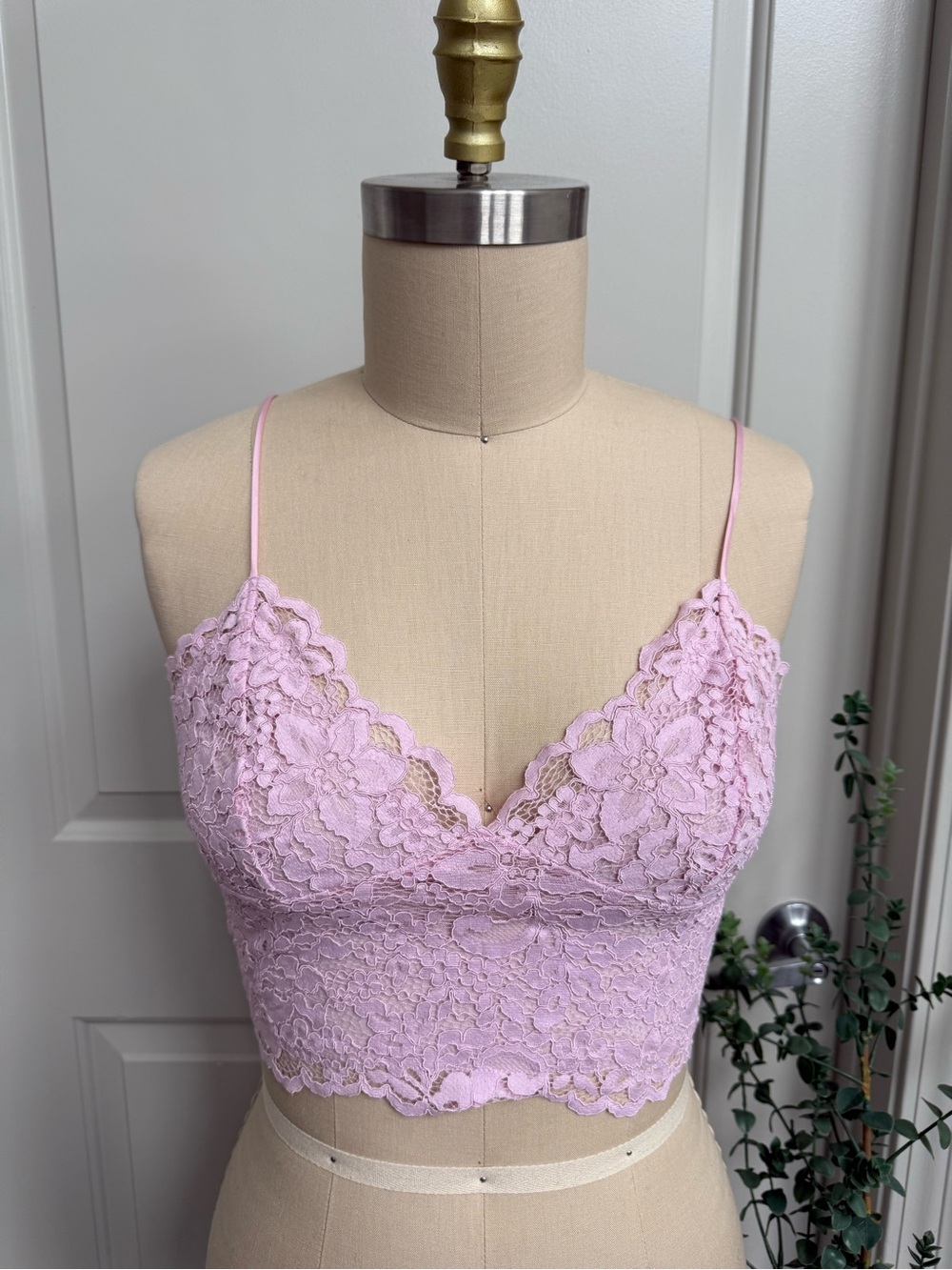 Express Lavender Lace Cropped Bralette